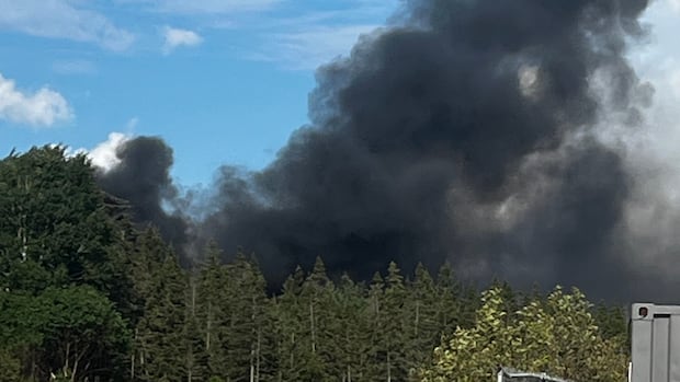 Small plane crashes near Deer Lake, N.L., airport, 1st responders on the scene
