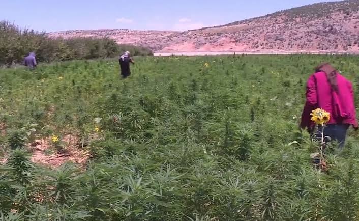 Why Israelis struck targets, including government buildings, in Damascus, but not Syrian drug farms