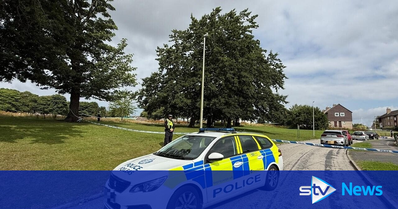 XL Bully dead and man in hospital after car driven into Aberdeen park in murder bid
