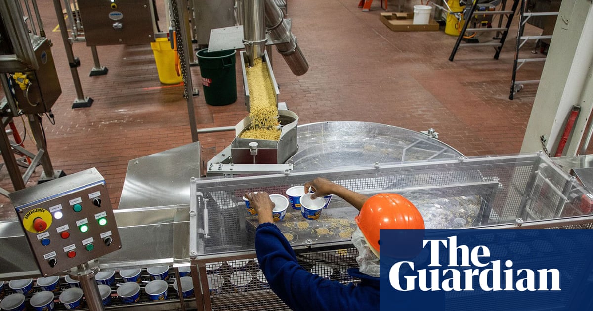 US workers say Trump’s immigration crackdown is causing labor shortages: ‘A strain on everybody’ | US news