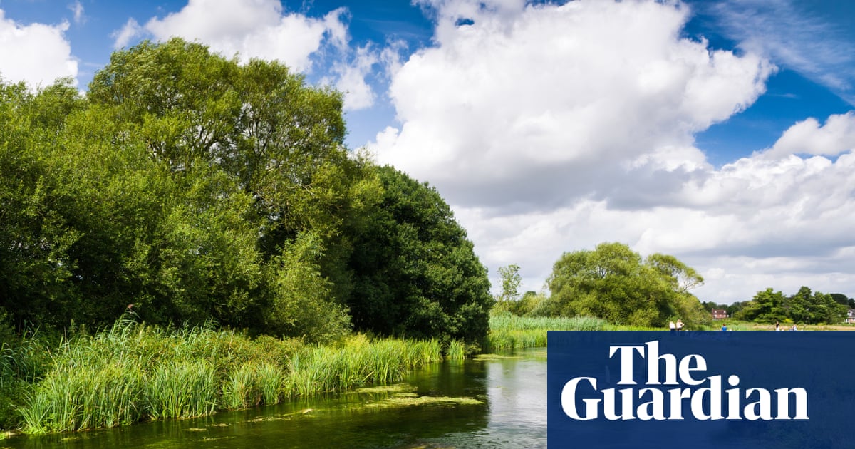Council recognises right of River Test to flow unimpeded and unpolluted | Rivers