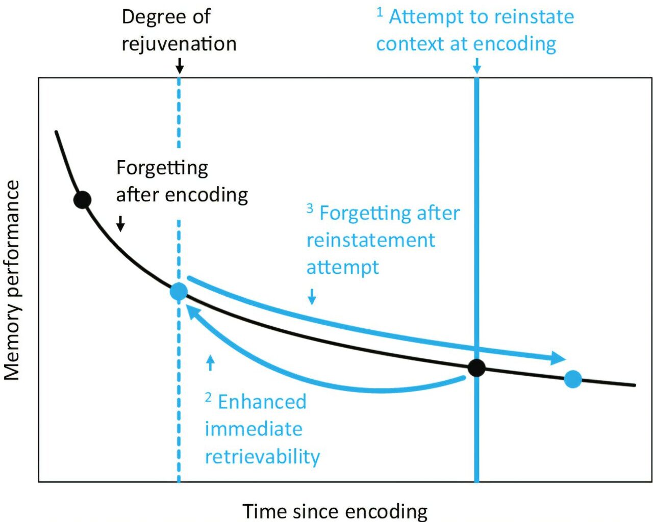 'Mental time travel' can restore memories to their former state, new study finds