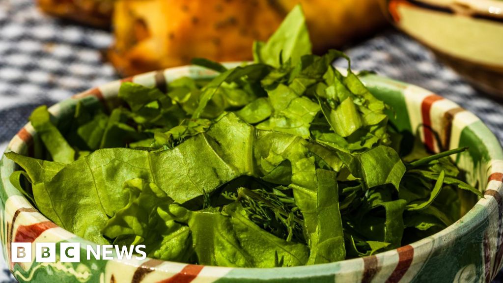 E.coli infections rise in UK due to salad leaf outbreaks
