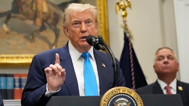 This is the court case that could kneecap most Trump tariffs