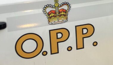 Swimmer suffers 'life-threatening' injuries in Muskoka boat crash