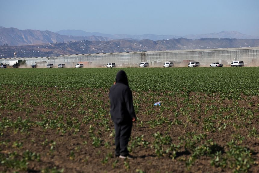 A demonstrator watches as vans leave an agricultural facility in Camarillo, California, where federal agents and immigration officers carried out an operation on July 10.