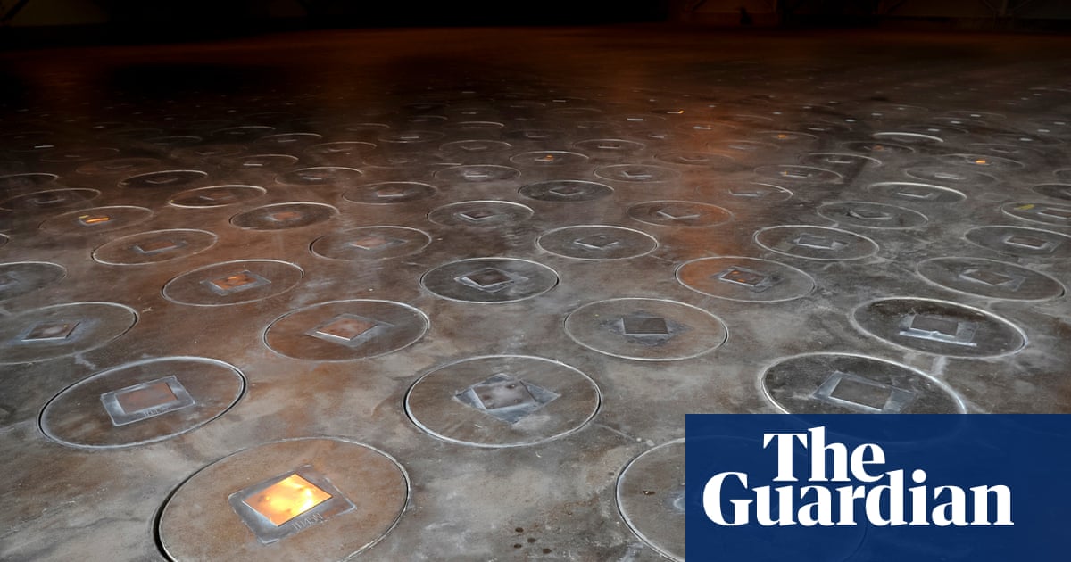 Radioactive wasp nest discovered at nuclear waste storage site in South Carolina | South Carolina