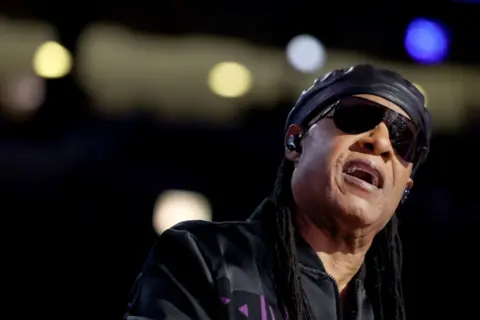 Getty Images Stevie Wonder