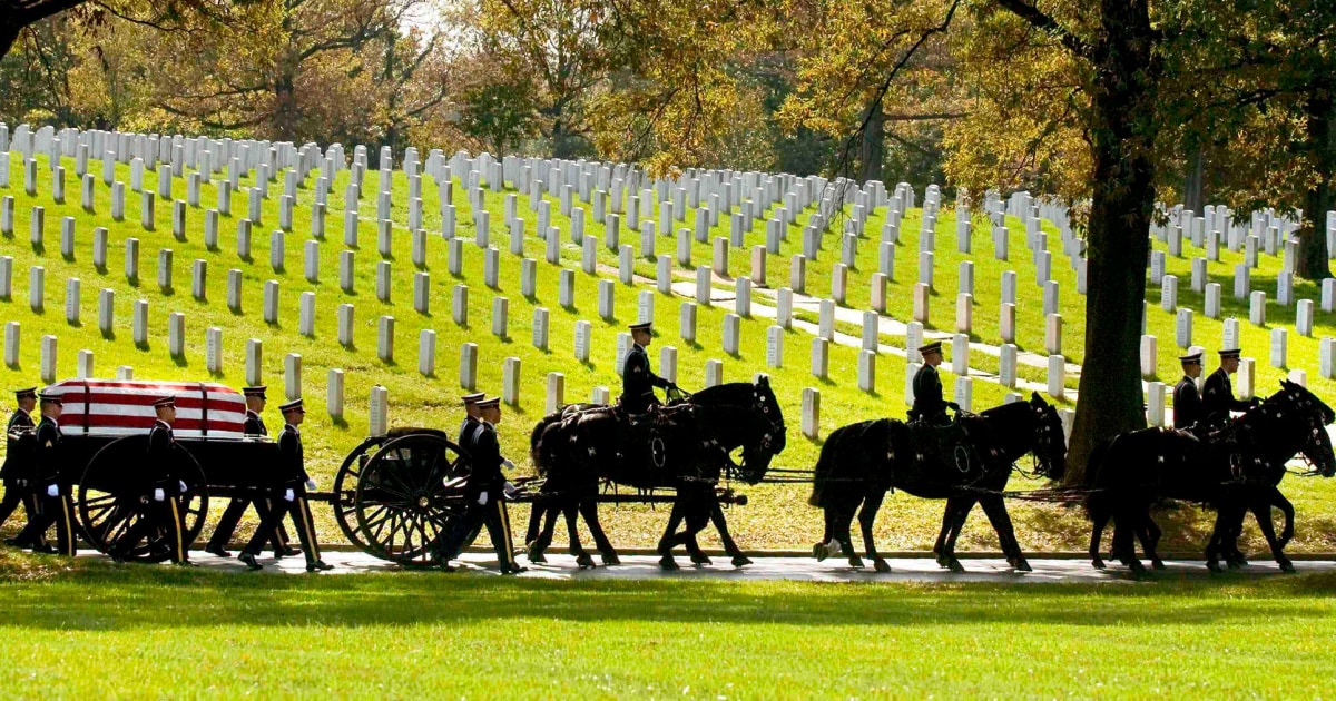 Army will end most of its ceremonial horse programs and adopt out the animals