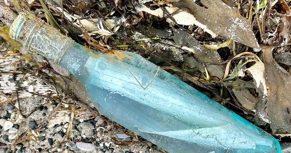 Canadian lovers' message in a bottle found 13 years later and 2,000 miles away