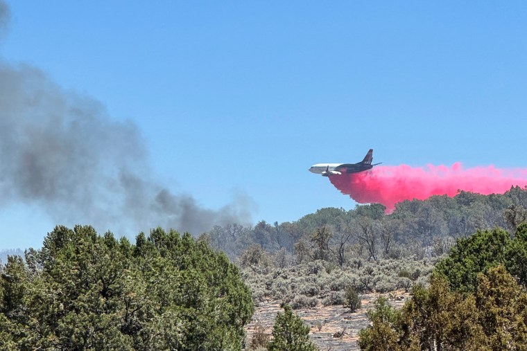 A plane release pink smoke over the landscape