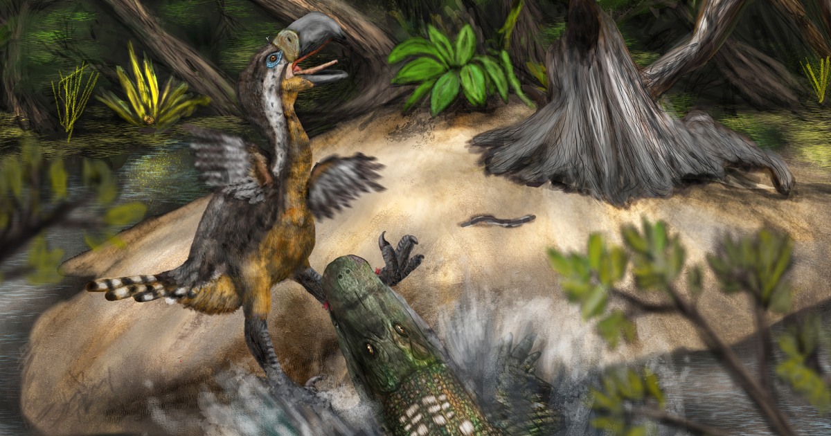 Terror bird may have been killed by even bigger creature 13 million years ago, bite marks suggest