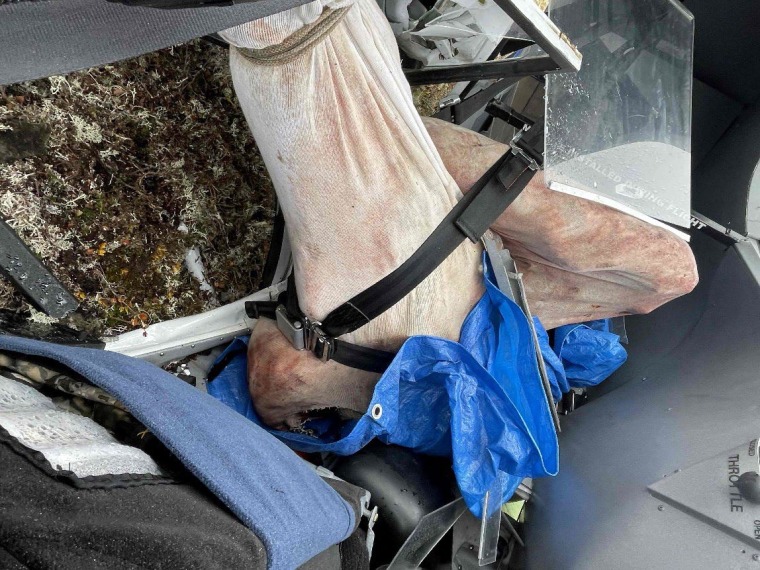 Meat in the rear cabin of Eugene Peltola's plane at the crash site.