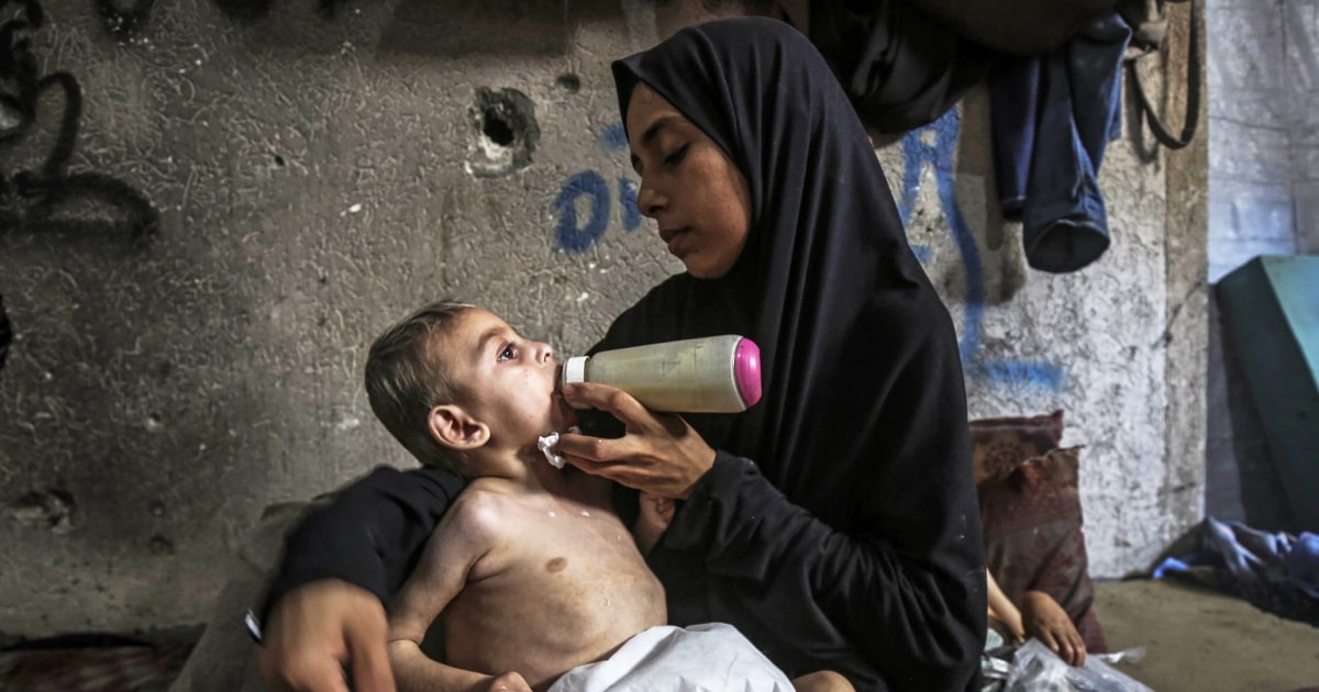 Israel allows new aid into starving Gaza under military pauses