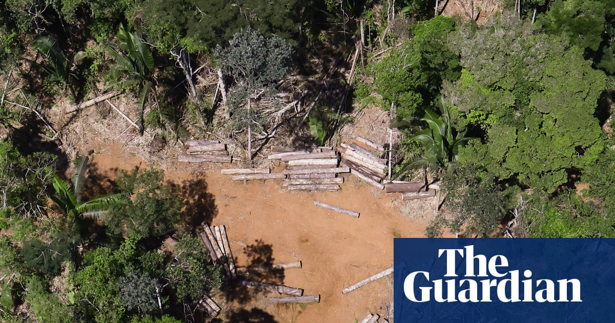 Brazil passes ‘devastation bill’ that drastically weakens environmental law | Brazil