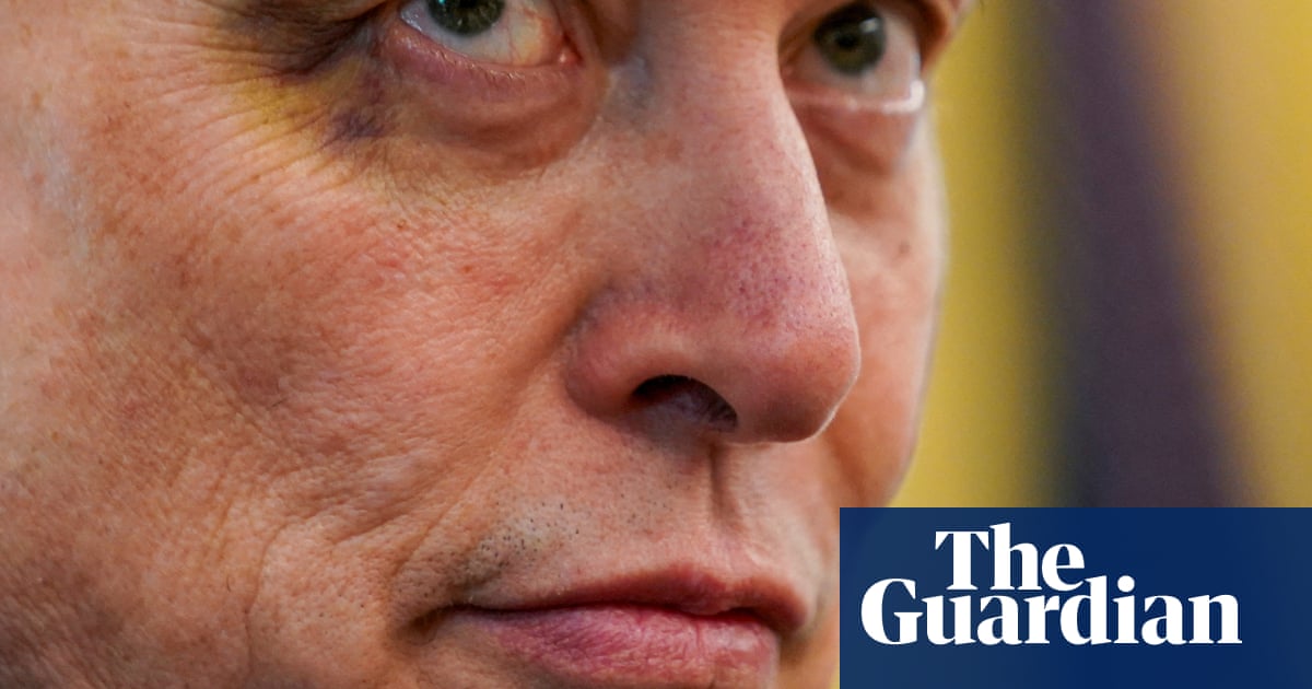 Elon Musk’s ‘America’ party could focus on a few pivotal congressional seats | Elon Musk