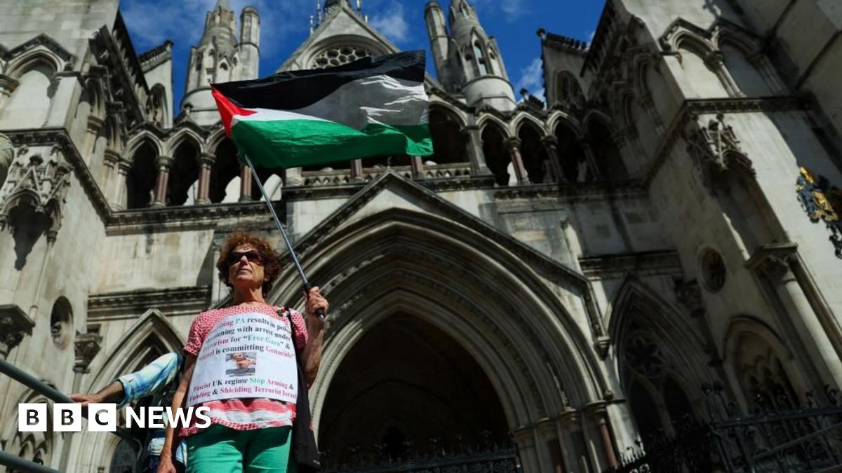 A protestor holds a Palestine flag outside the High Court. She has a sign wrapped around her chest which references genocide.