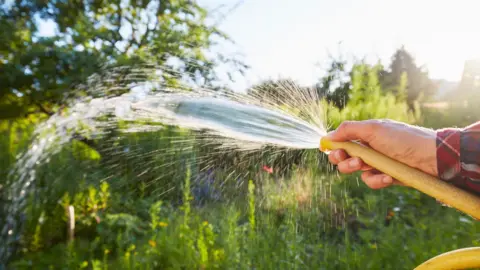 Getty Images A hand holding a hosepipe with water squirting from its end. There are green plants in the background.
