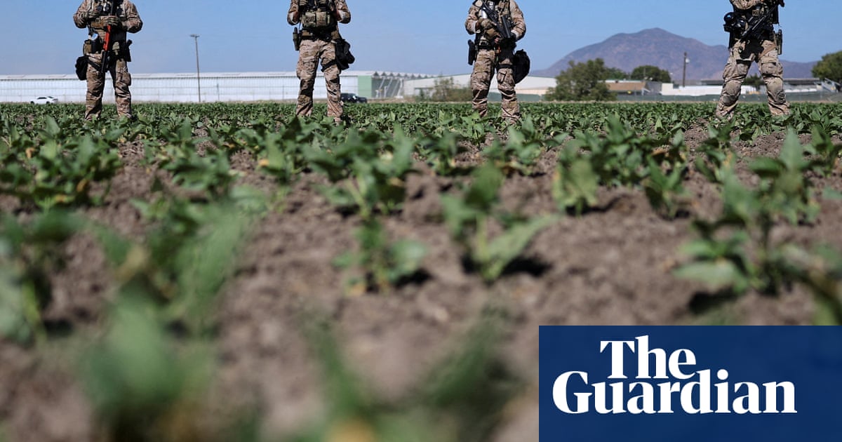 US undocumented farm workers feel ‘hunted like animals’ amid Trump’s immigration raids | US immigration
