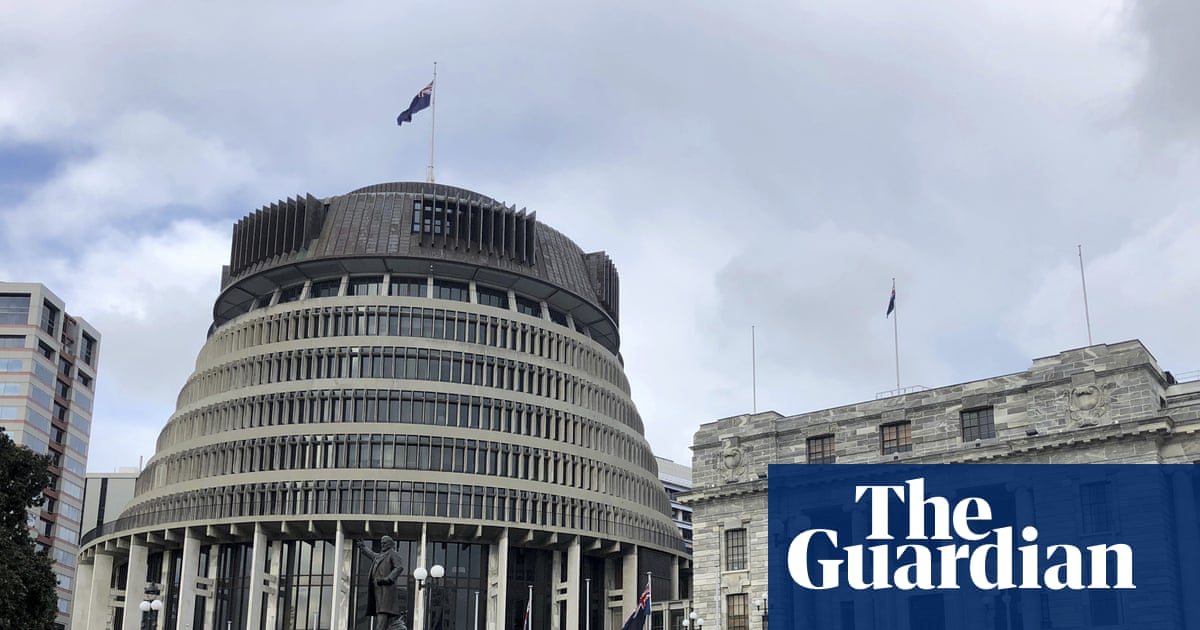 New Zealand attorney general warns her government’s electoral reform could breach human rights law | New Zealand