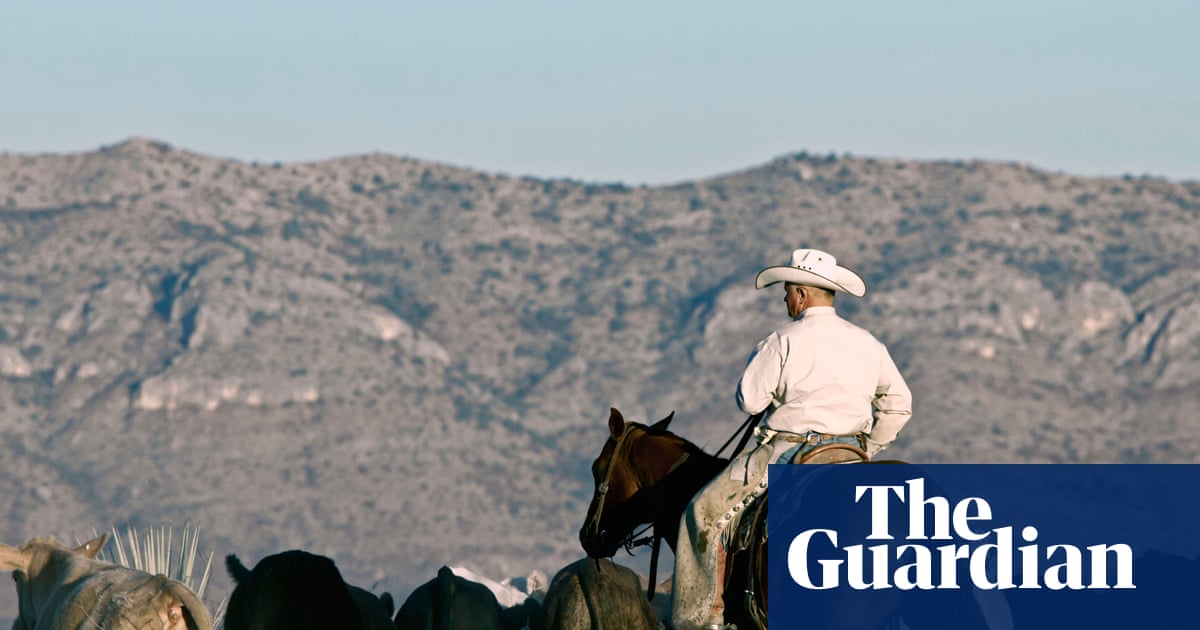 Australia lifts ban on US beef, saying new measures ‘effectively’ manage biosecurity risks | Australian foreign policy