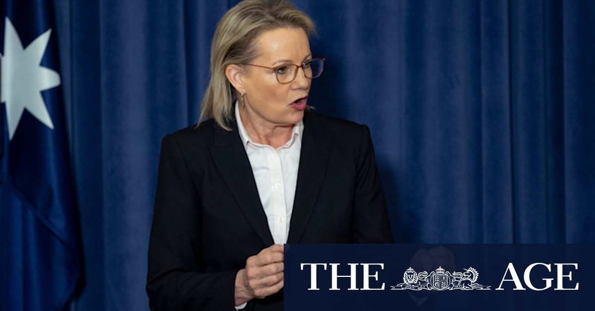 Sussan Ley’s Liberal Party leadership already on a knife’s edge as she loses support of key members