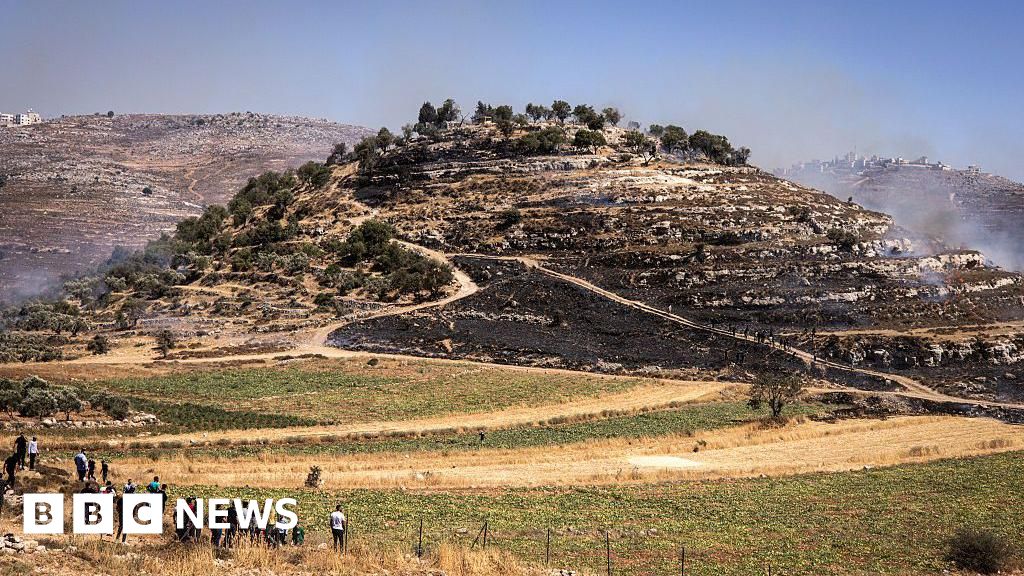 Two Palestinians killed in West Bank settler attack, health ministry says