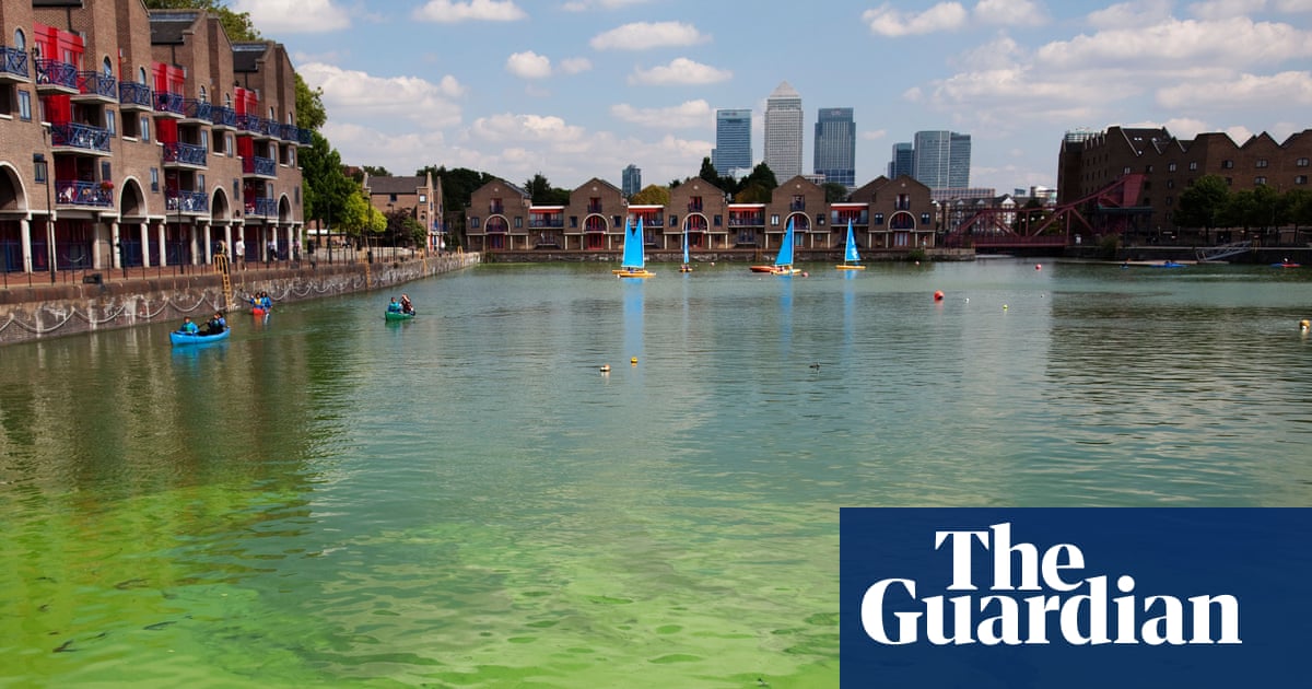 Ministers vow to tackle all forms of water pollution in England and Wales | Environment