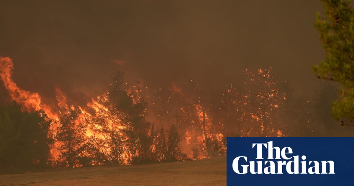 Wildfire kills at least 10 forest workers and rescuers battling blaze in Turkey | Turkey