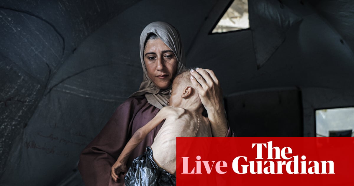 Mass starvation spreading across Gaza, aid agencies warn, as pressure on Israel grows – Middle East crisis live | Middle East and north Africa