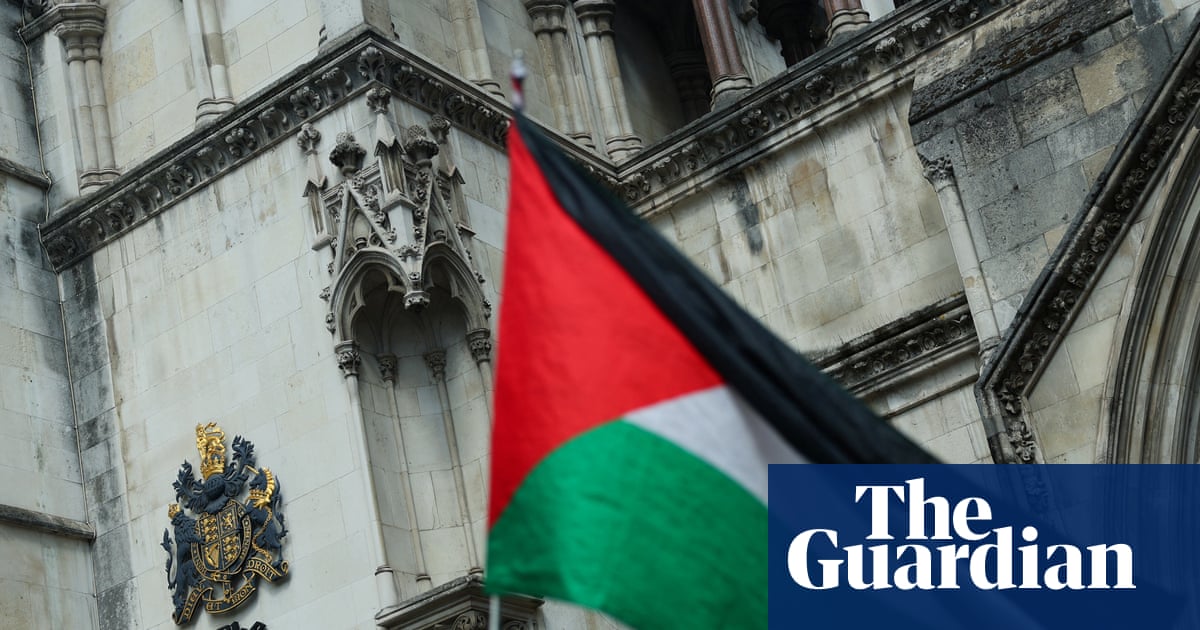 UK ban on Palestine Action is an abuse of power, high court told | Protest