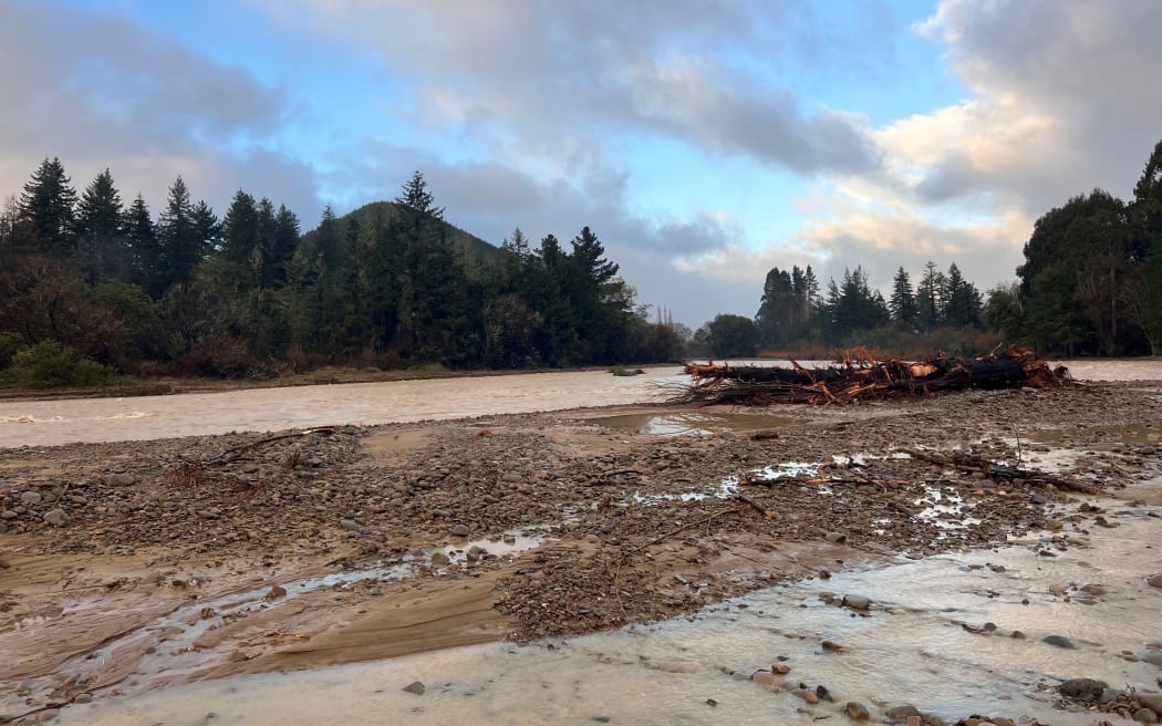 Cosmo - from his story about the Tasman Floods