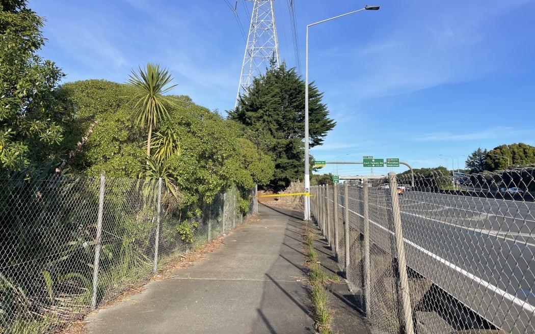 Bomb scare after body found in Auckland