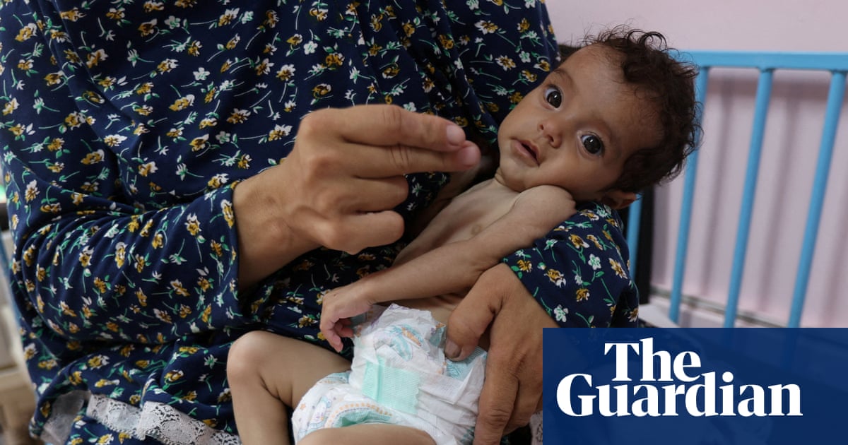 Israel trying to deflect blame for widespread starvation in Gaza | Israel-Gaza war