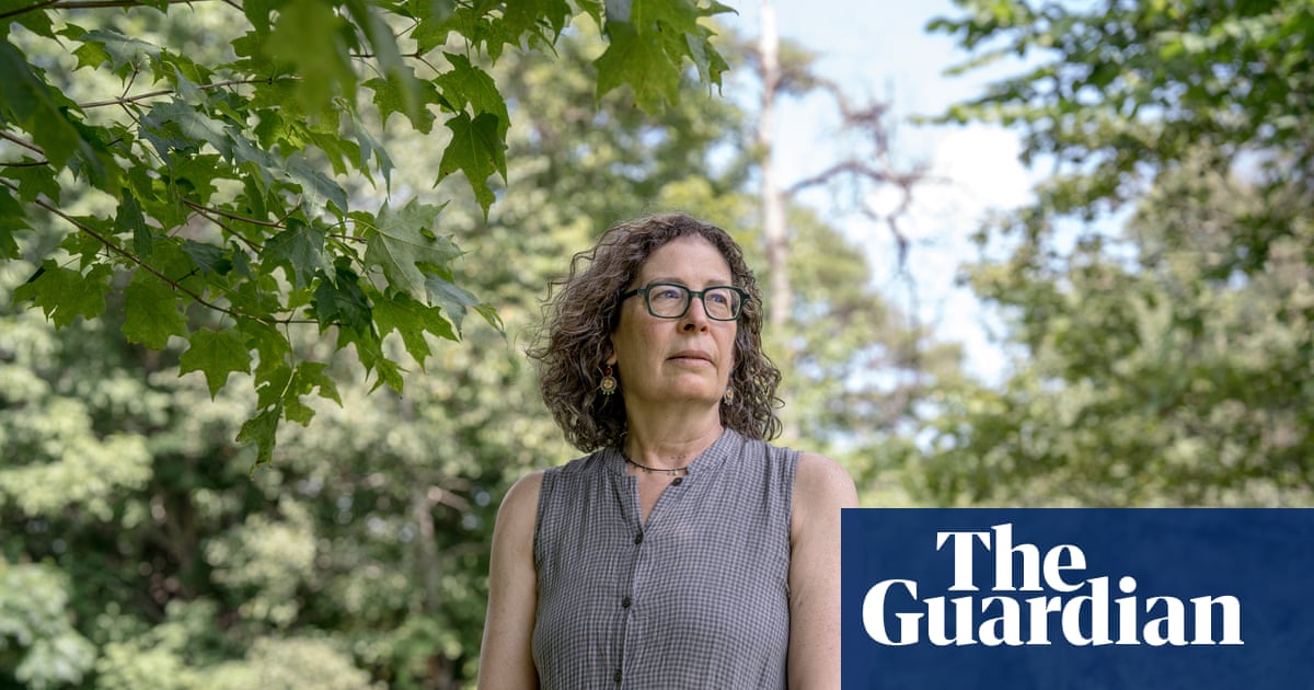 Revealed: Harvard publisher cancels entire journal issue on Palestine shortly before publication | Harvard University