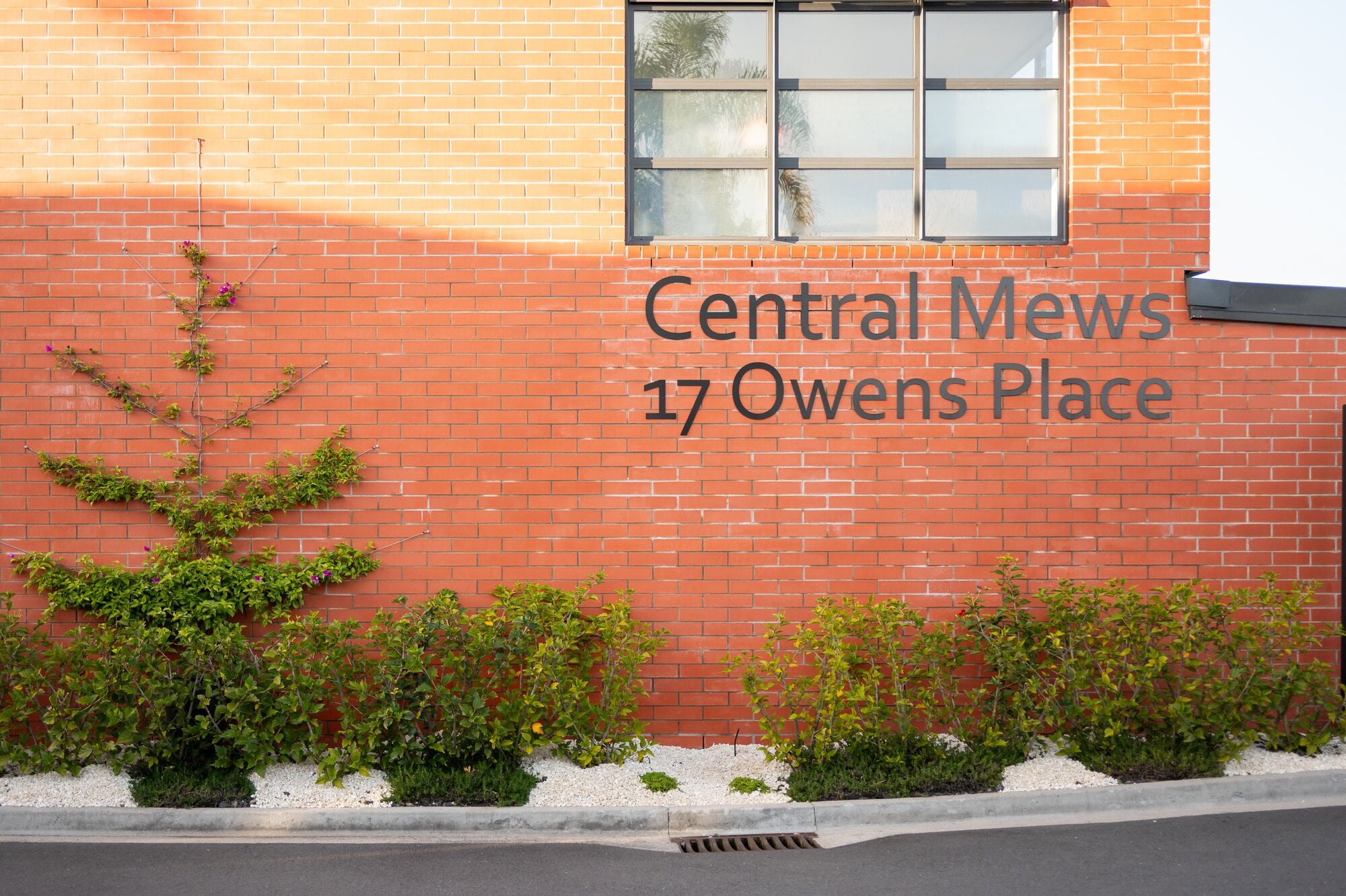  Central Mews features 72 fully occupied townhouses, along with a flourishing orchard.  Photo / Brydie Thompson