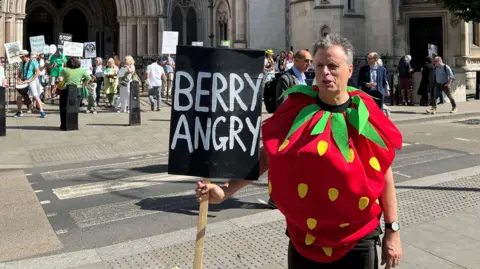PA Media A man dressed in a strawberry costume holds a sign reading “BERRY ANGRY” outside the Royal Courts of Justice in London, as others protest in the background.