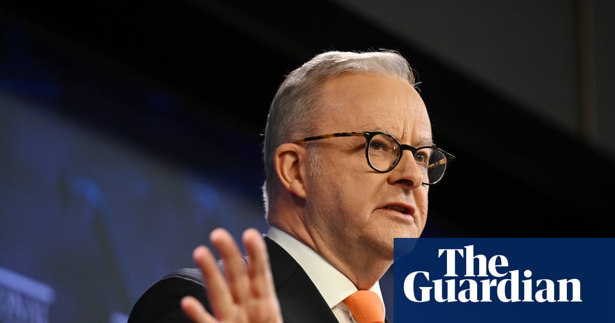 Albanese government plotted to maintain native forest logging in NSW if court battle was lost, documents show | New South Wales