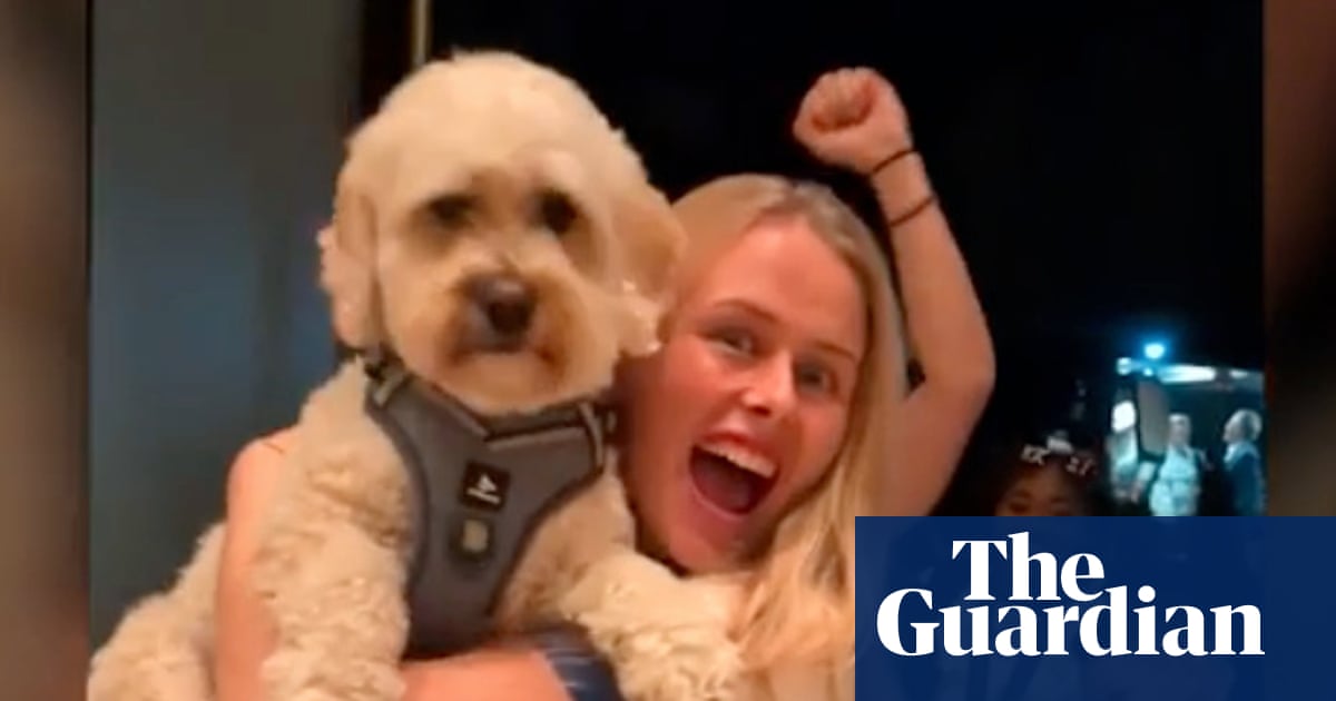 Singing, dancing and a cavapoo called Reggie: how England celebrated Euro 2025 glory | England women's football team