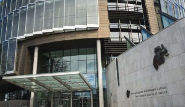 Limerick man gets 12 years for the rape of his sister in law while she was a child