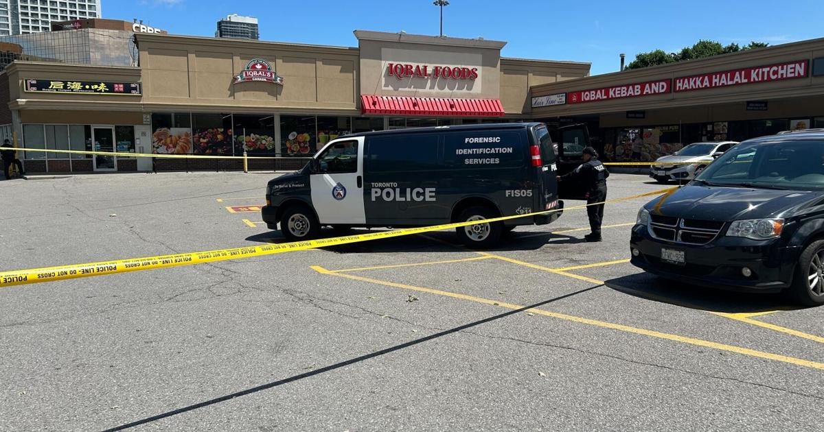 ‘Dangerous’ 14-year-old boy named as suspect in stabbing death of 71-year-old woman at North York plaza - Toronto Star