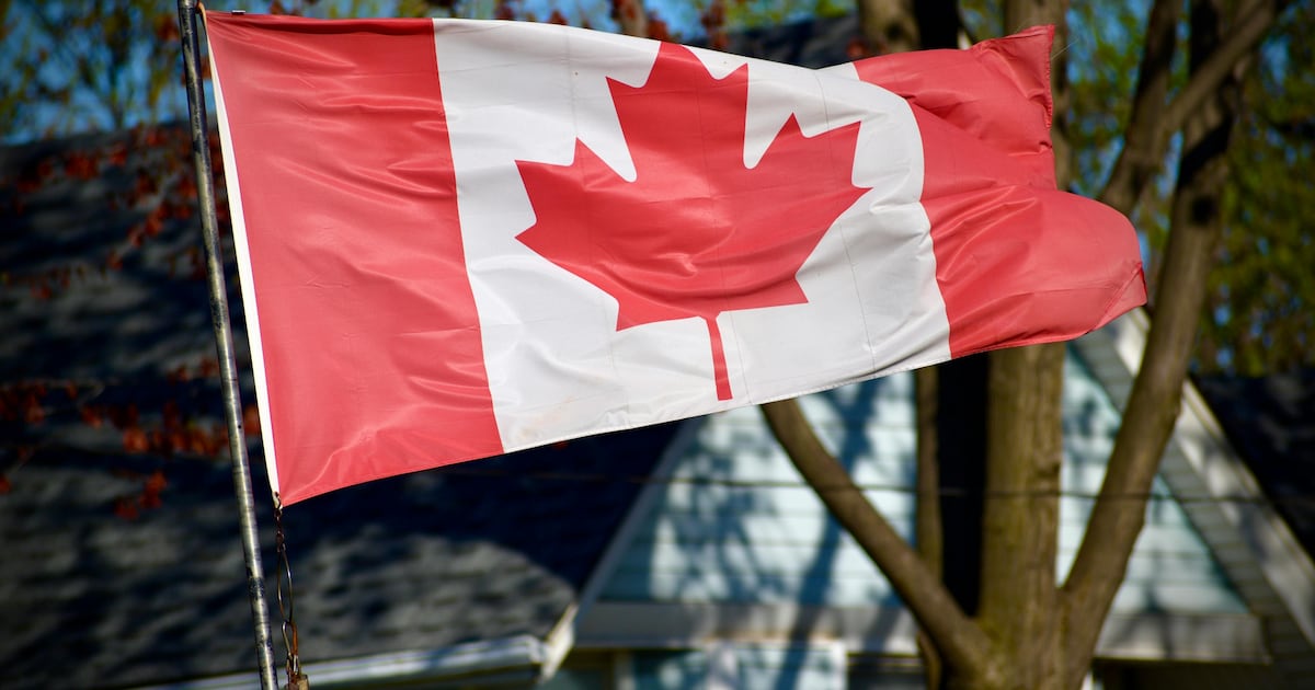 Thousands of Canadians are set to receive family sponsorship invitations. What’s your experience with the program? - CTV News