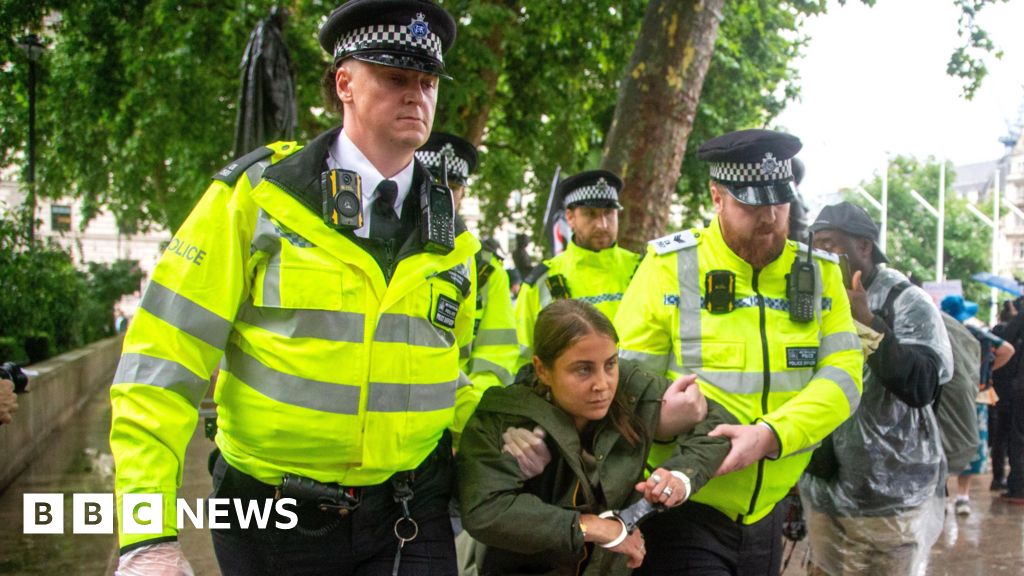 UN human rights chief criticises 'disturbing' Palestine Action ban