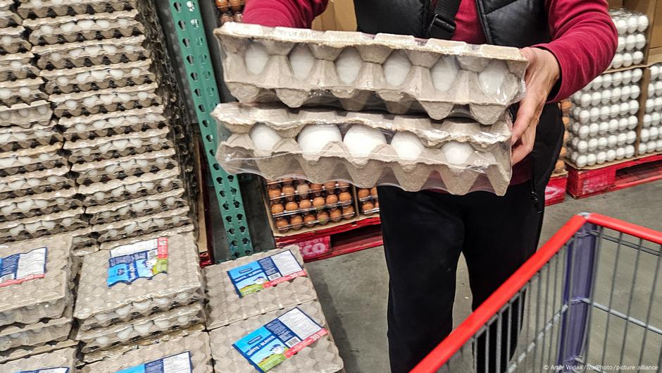 Trump administration sues California over egg prices – DW – 07/10/2025