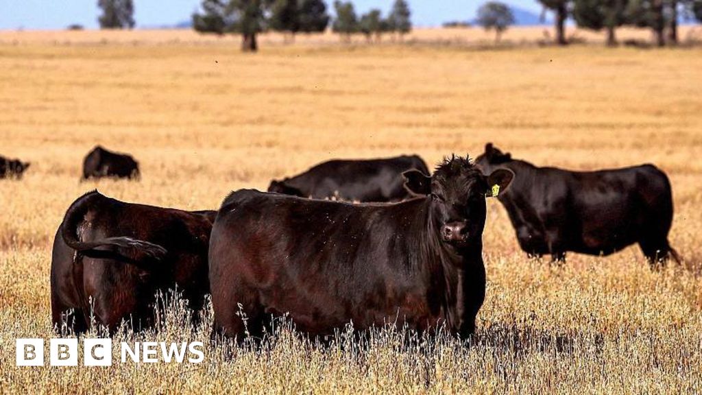 Australia to lift import ban on US beef after Trump tariffs tiff