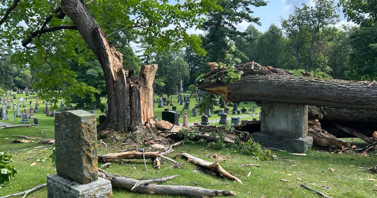 Storm damage reported in parts of eastern Ontario, western Quebec - CTV News