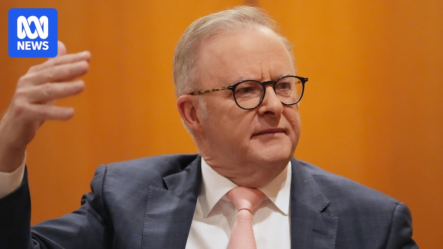 Anthony Albanese says Israel's denial of starvation in Gaza 'beyond comprehension'