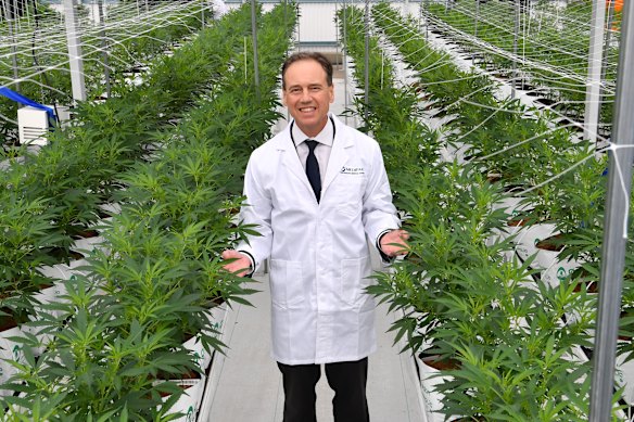 Greg Hunt, in 2019 when he was federal health minister, at the opening of a Sunshine Coast cannabis farm.