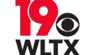 Tropical Storm Chantal makes landfall in South Carolina, to bring rain, wind to some areas - WLTX