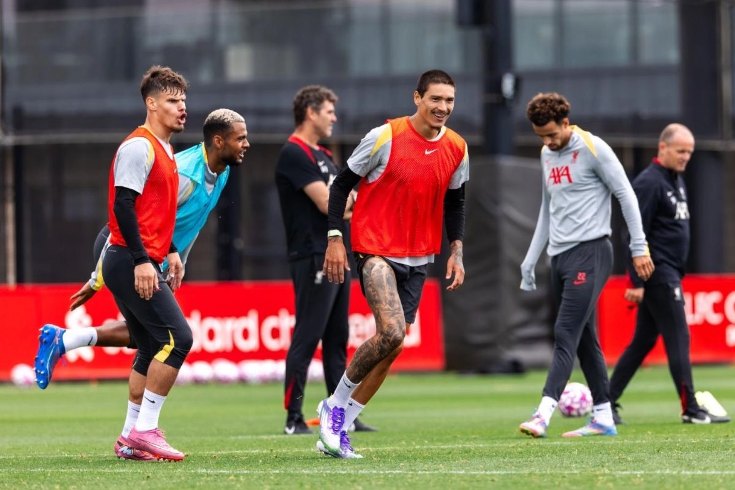 Darwin Nunez in training for Liverpool